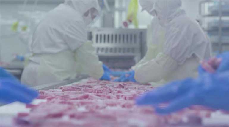 硬核防控 强心稳增——龙大肉食复工生产