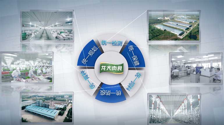 营收同比增长116%丨龙大肉食2020一季度再创佳绩