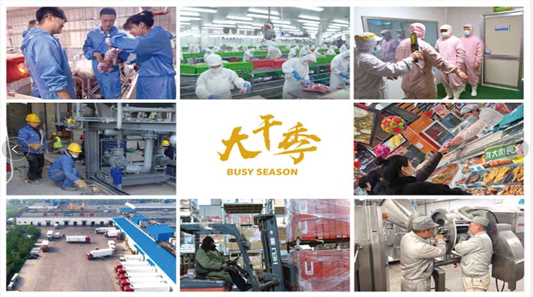 大干保供，龙大肉食鼎力保障担当于行